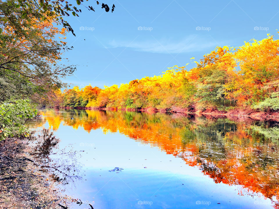 Autumn trees by a lake
