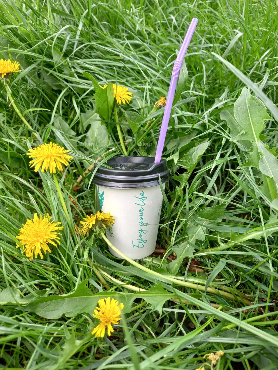 I hide in the grass! Find me, your nice coffee!