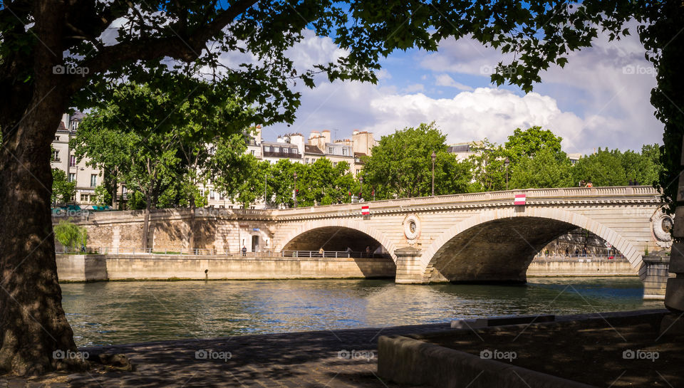 Parisian bridge 