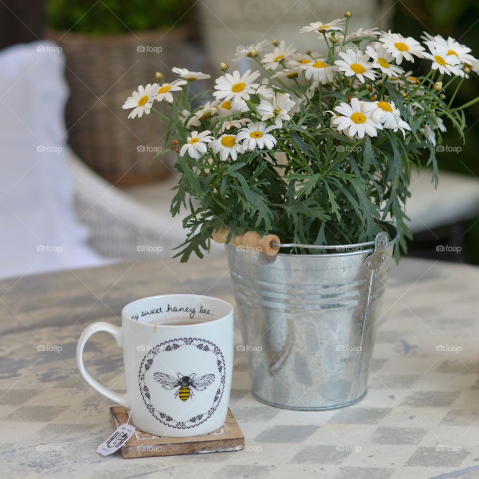 Tea mug near the potted plant