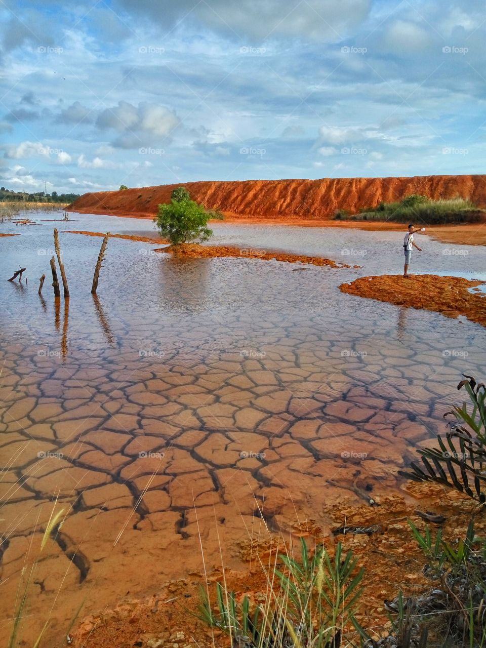 Haiking trails landscape