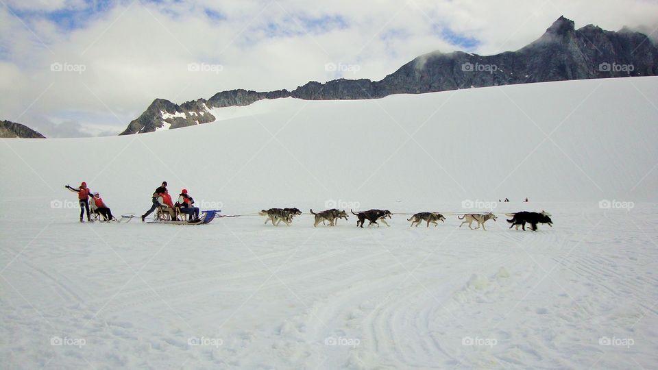 Our trip to Alaska was highlighted with a trip to a glacier and dog sled ride. It was amazing.