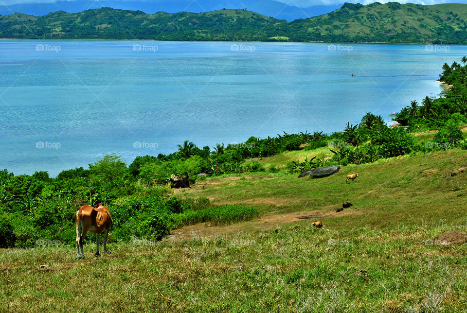 caramoan