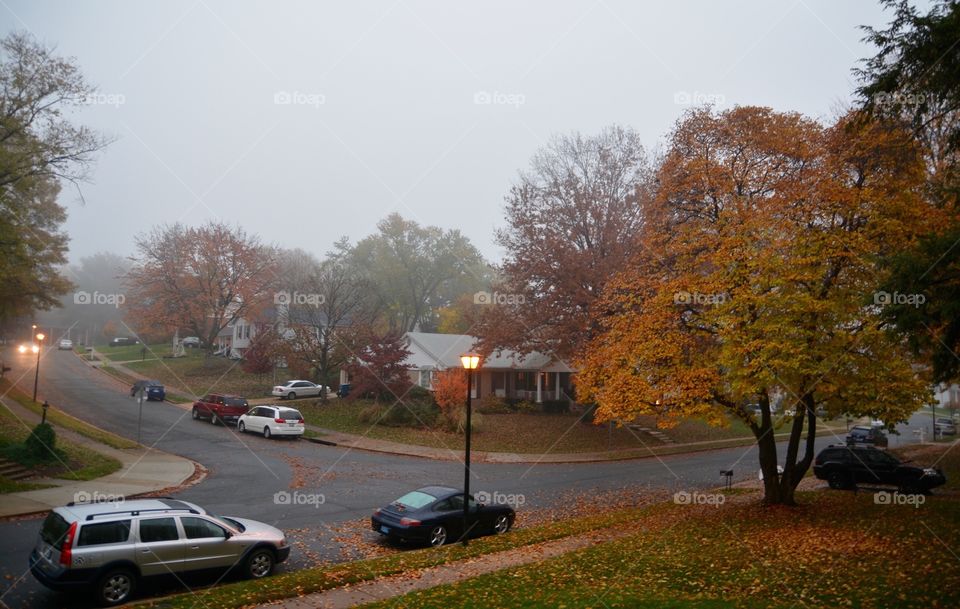 Autumn in the Suburbs