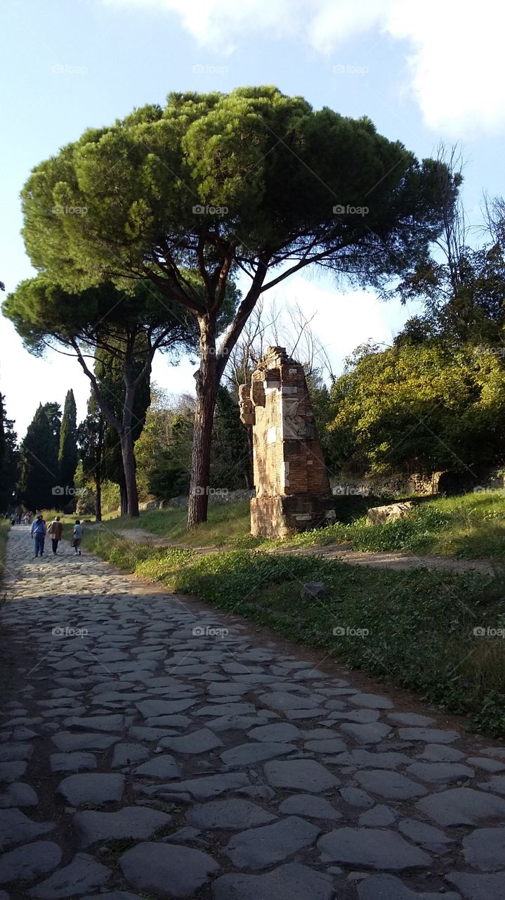 walking among history in rome