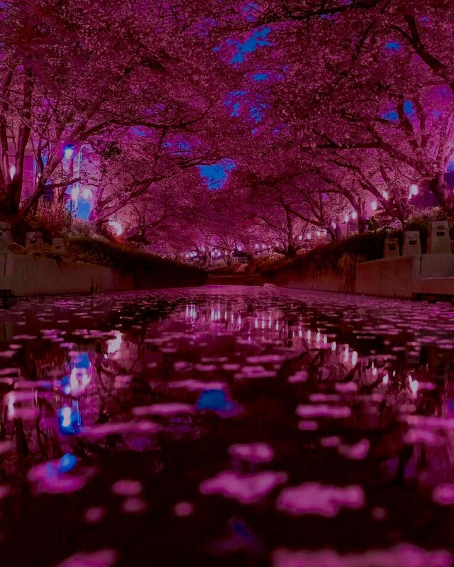 color : pink