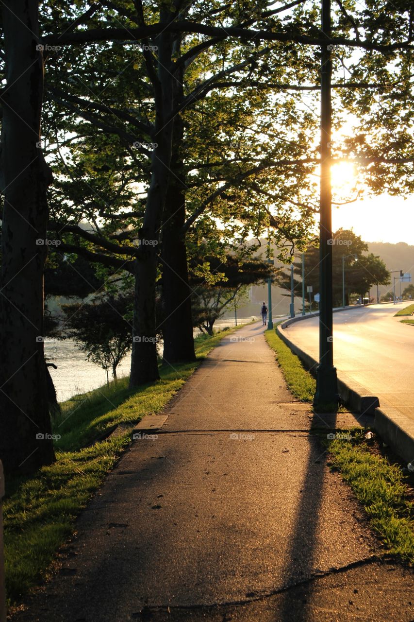 Evening walk