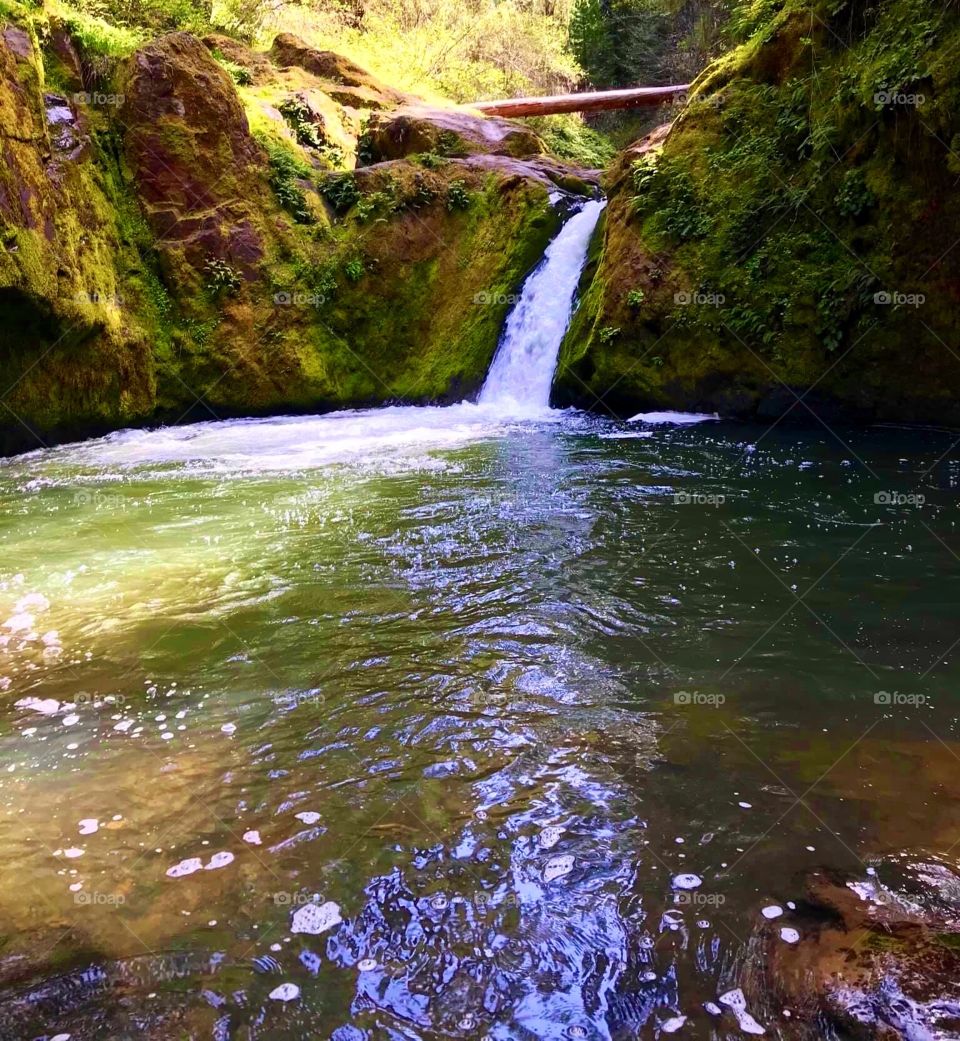 Waterfall Somewhere in Oregon