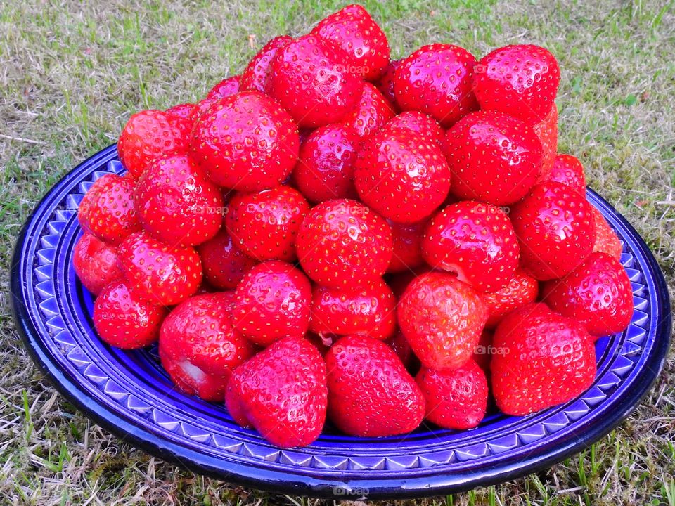 Strawberries in a bowl