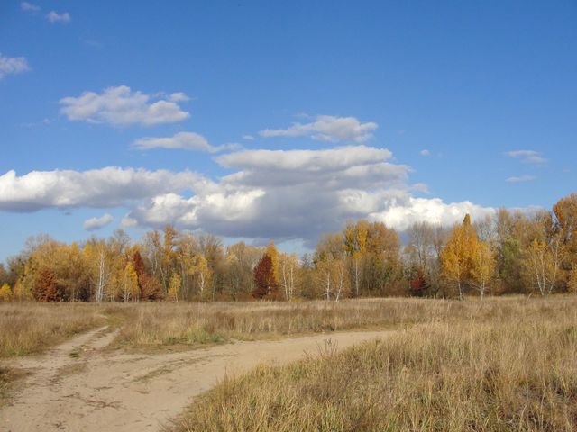 Autumn landscape