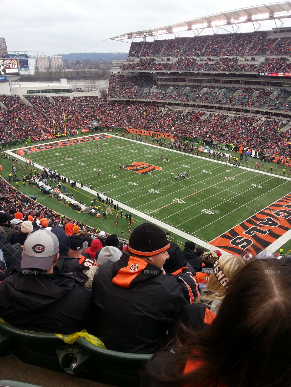 Cincinnati Bengals