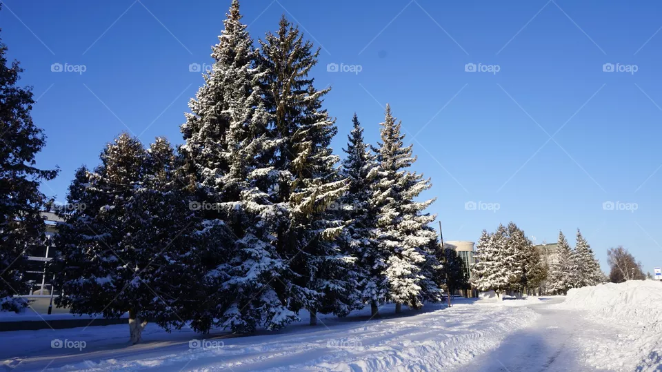 winter