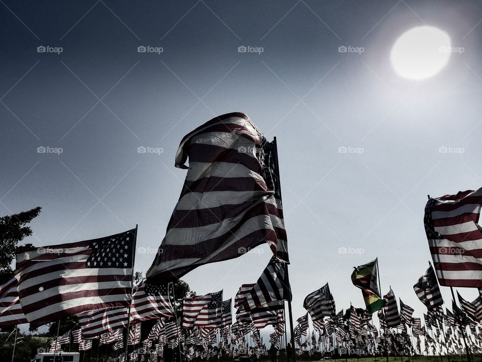 Old Glory in California