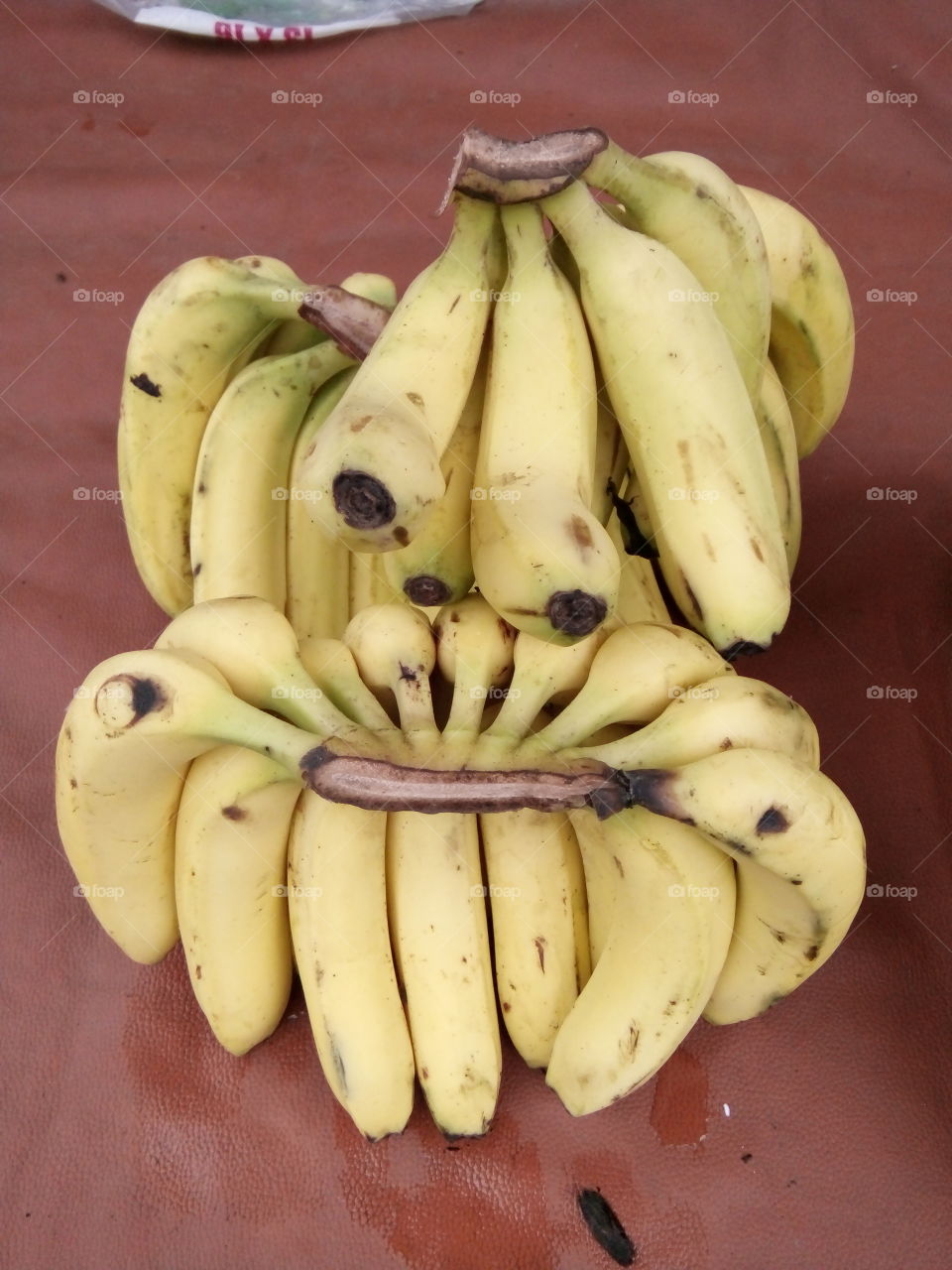 banana,bananas picture,A great photo,a photo for everyone,a memorable photo,a no.  photo,a photo to cherish,a beautiful photo,a great photo for the best people,an evergreen photo,a photo to remember for years, the best result of great photography