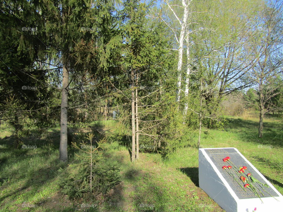 Memorial in forest