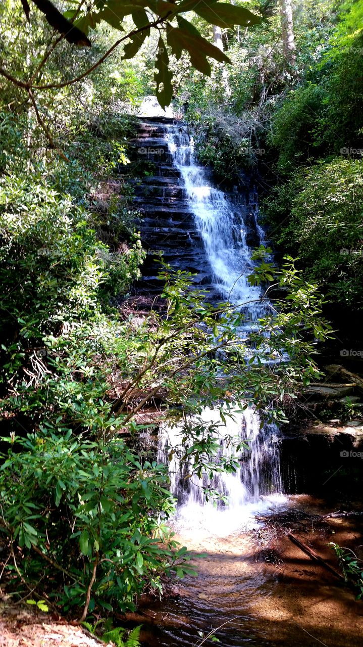 panther falls in the North Georgia mountains