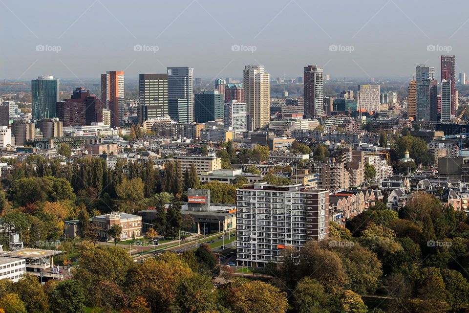 Hazy morning in Rotterdam