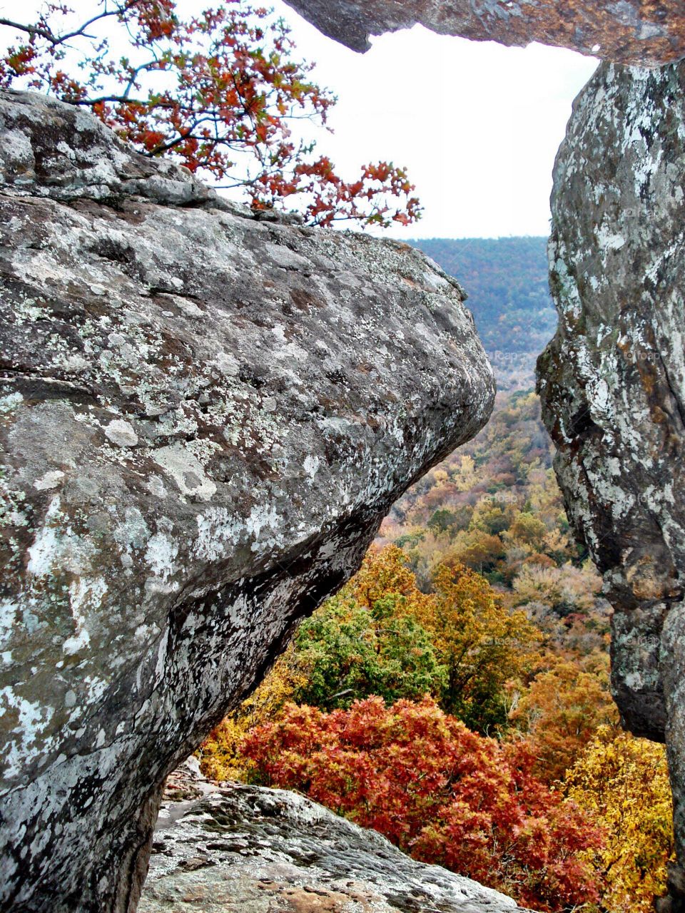 Autumn color peeks through rugged boulders