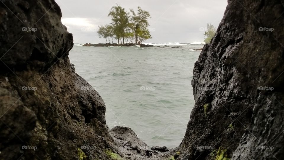 Hilo Hawai'i landscape