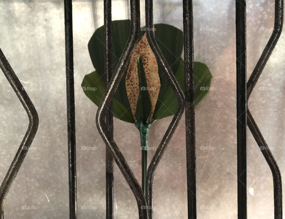 There is no waste in this world. Look around yourself! Making a craft is fun. My craft 😊