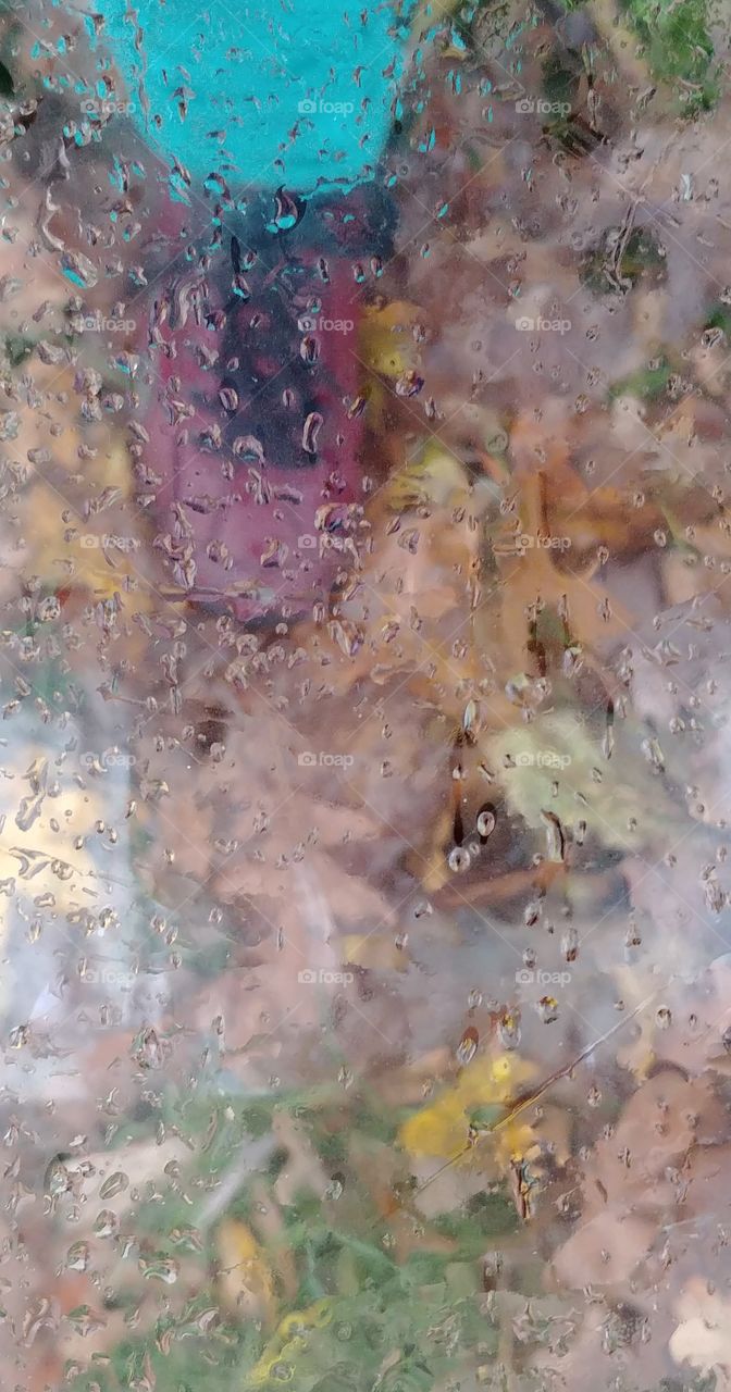 herbst selfi bunt autumn Blätter laub kalt wasser regen