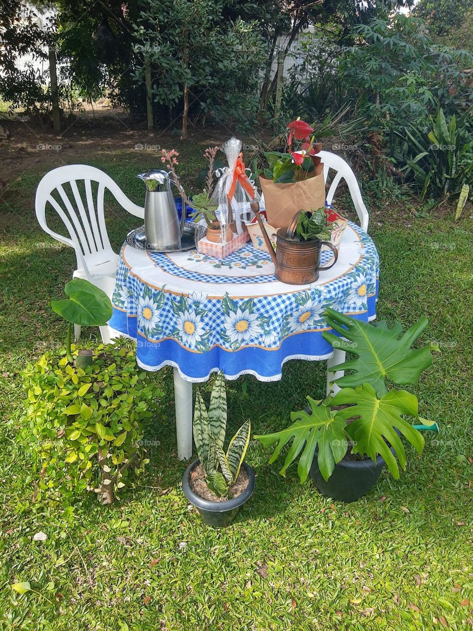 tablet tea with plants