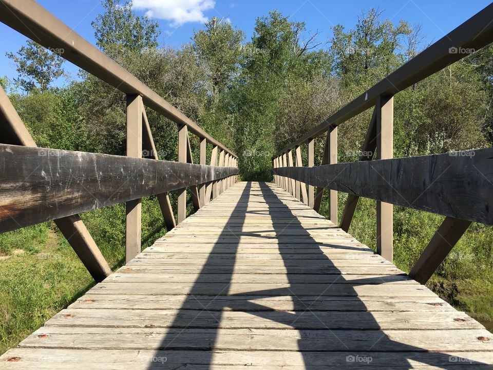 Bridge, Wood, No Person, Nature, Tree