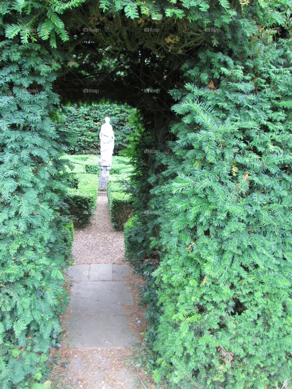 Statue through hedge