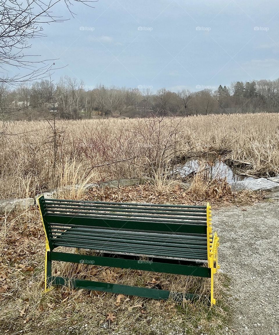 A vibrant hunter green and yellow bench sits angled by James Brook in Groton, MA, its bold colors standing out against the muted, early Spring landscape, patiently awaiting the arrival of spring's blooming hues.