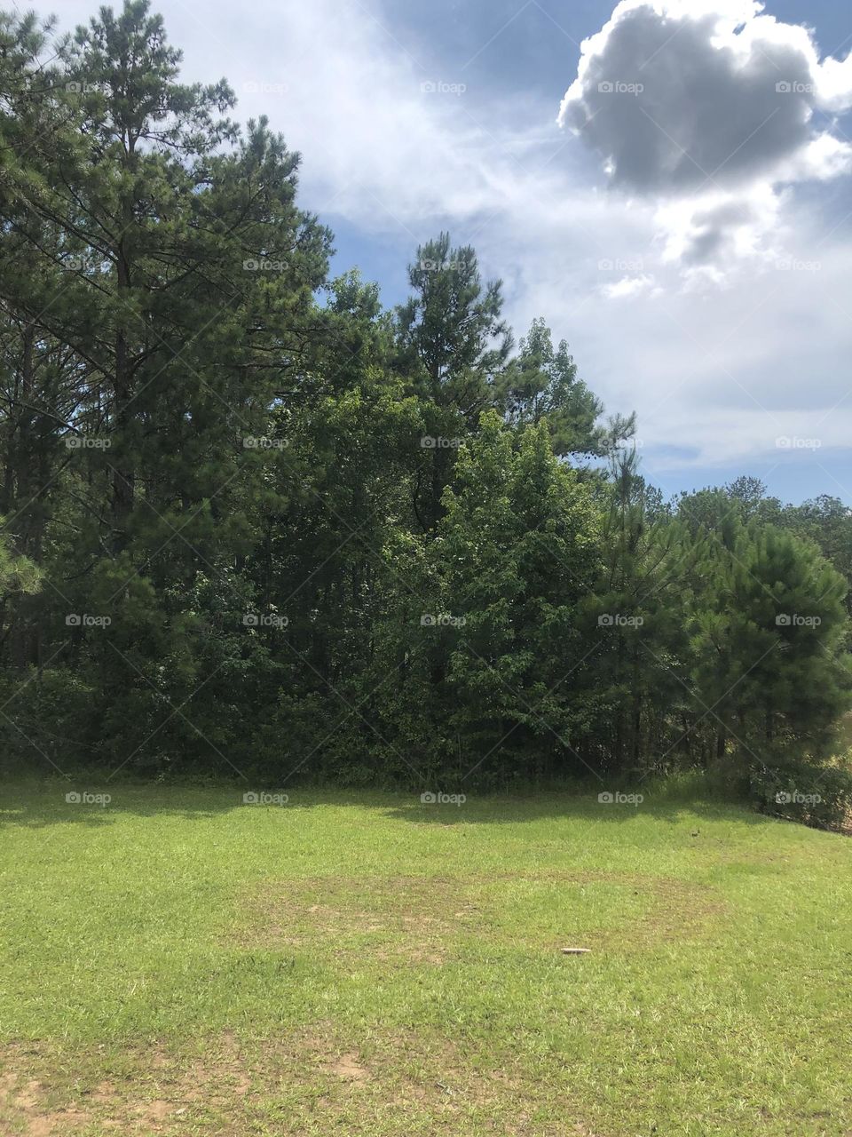 What is behind the beautiful trees, it must be…