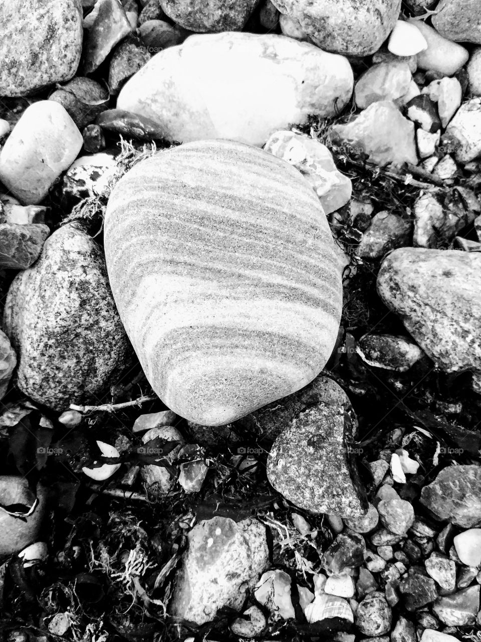 stone stein kiesel strand steine rock zeichnung muster Wasser am Meer ozean Sand