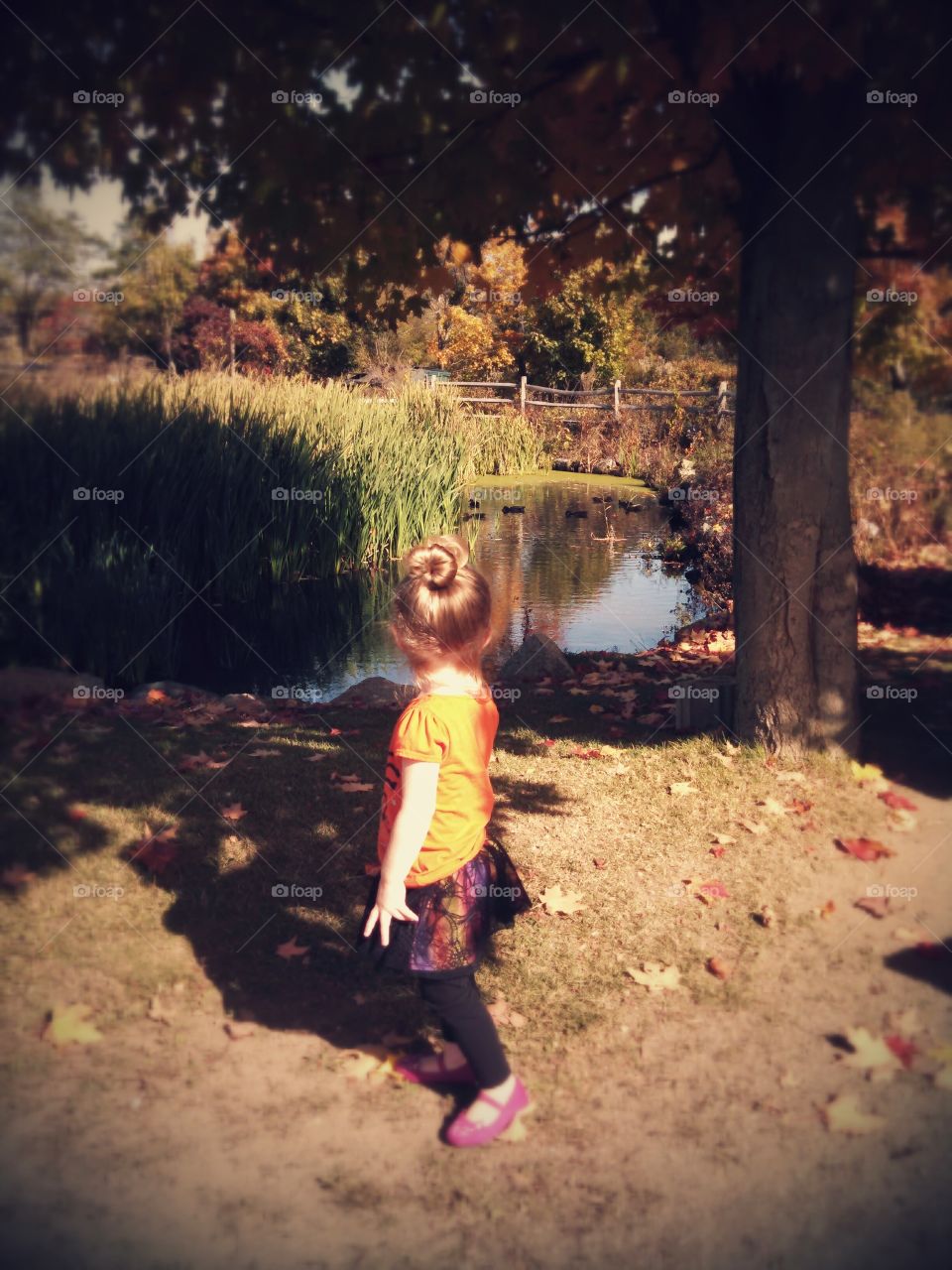 People, Child, Girl, One, Adult