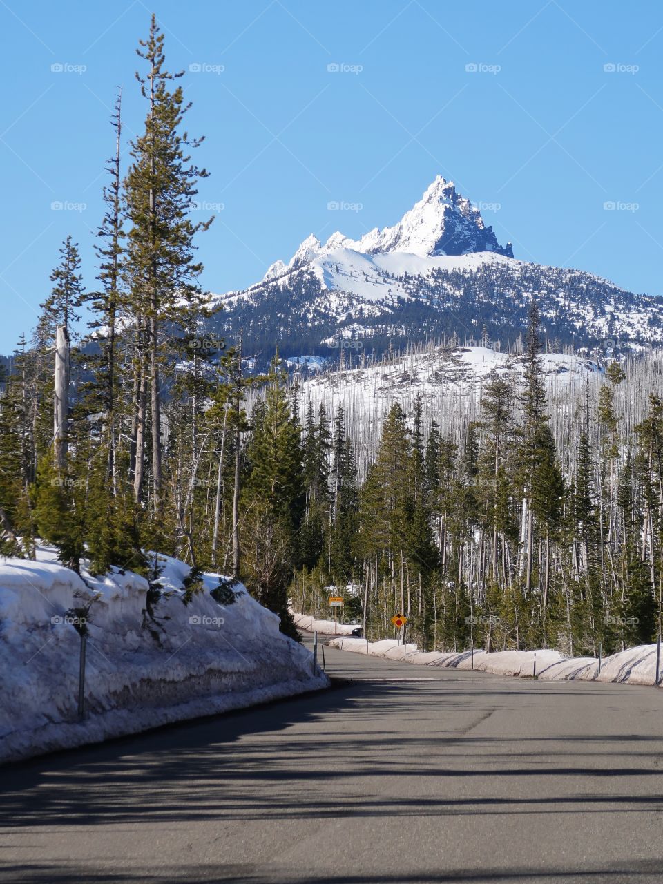 The magnificent snow covered Three Fingered Jack in Oregon’s Cascade Mountain Range against a clear blue sky on a beautiful spring day.