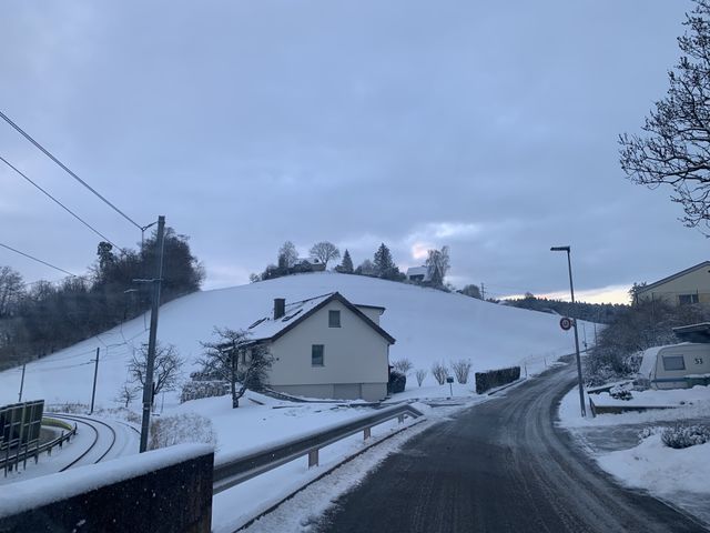 Swiss 