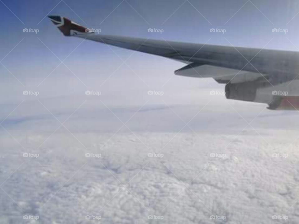 A window with a view