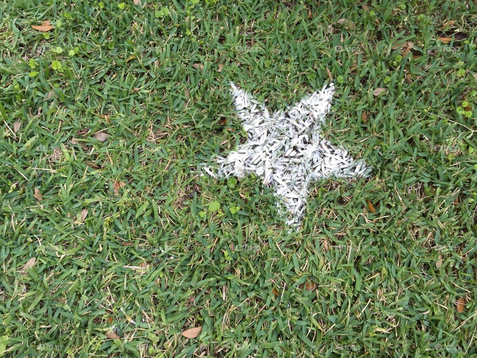 White star in the grass
