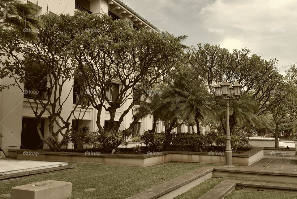 Olde Timey Landscape