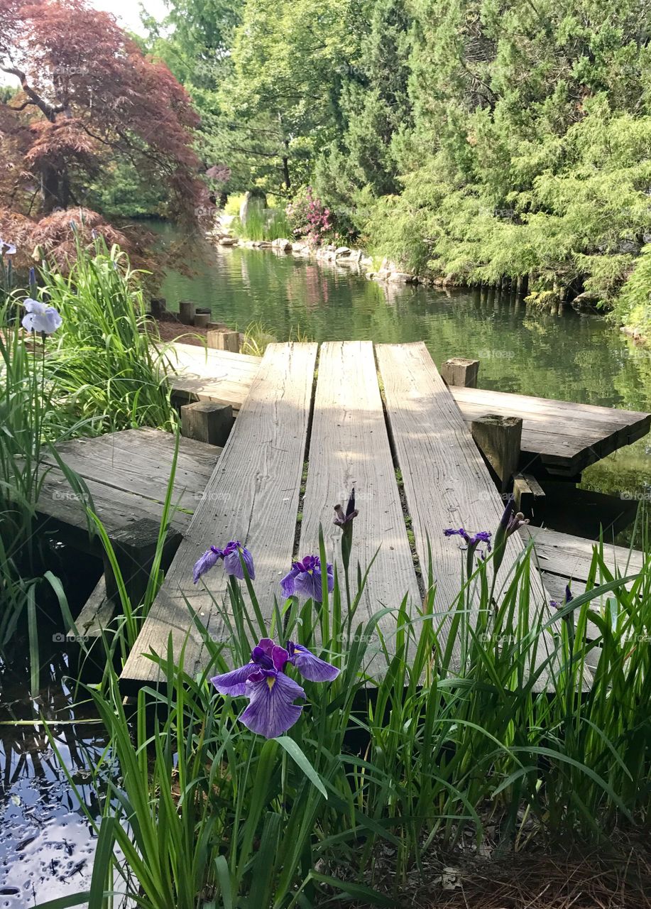 Wooden Pier in Garden