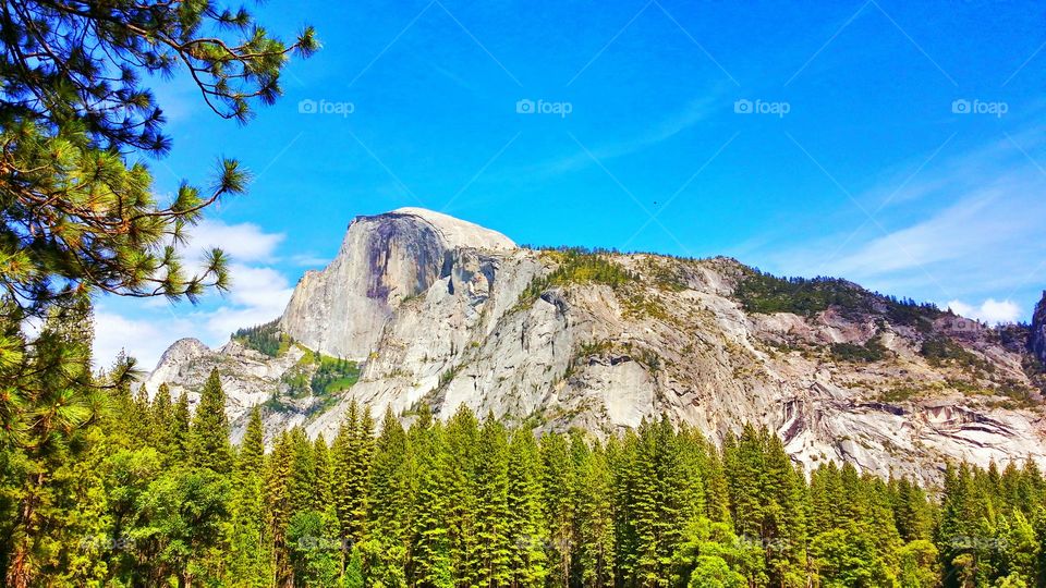 Half dome yosemite , california