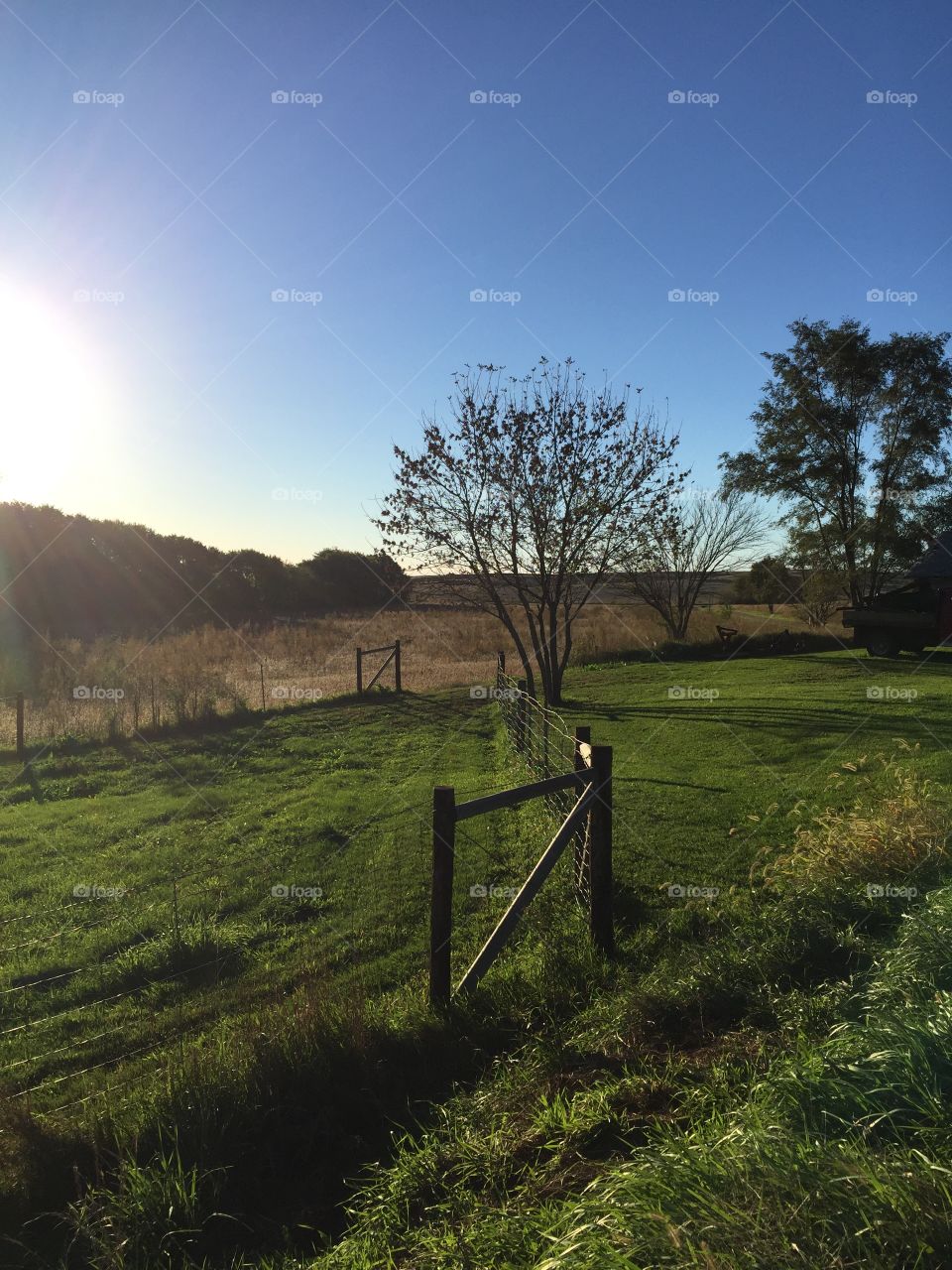 Lower Pasture Fence Line