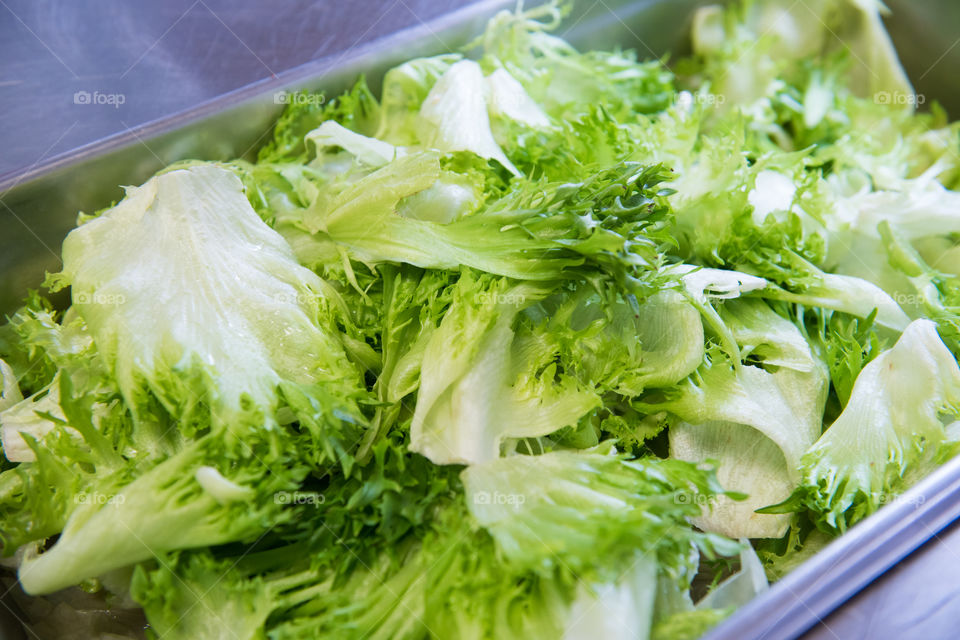 Iceberg lettuce