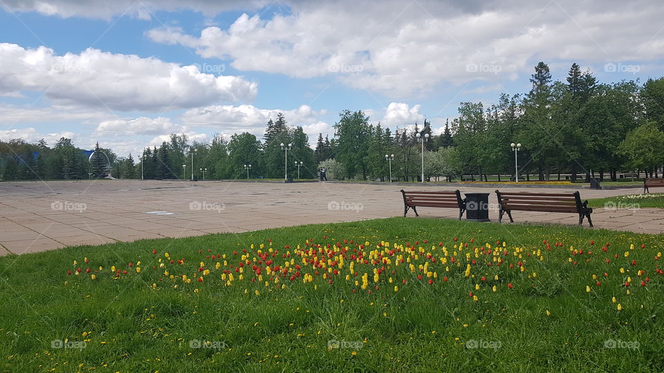 the town sguare in the spring