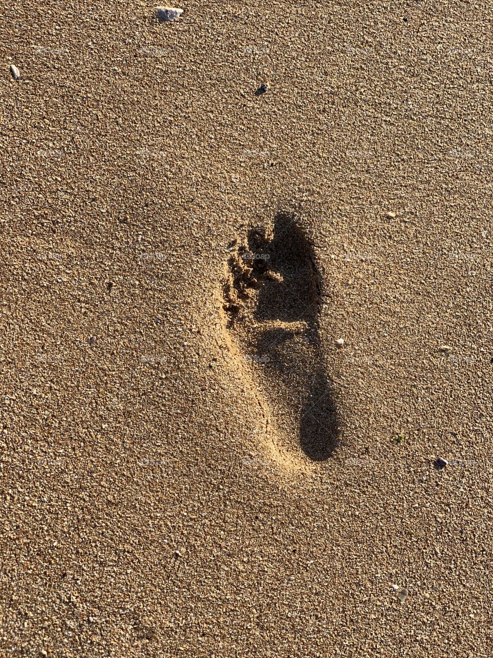 Footprints 