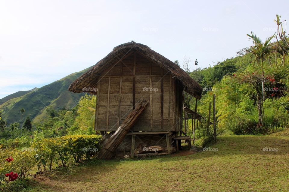 Traditional House