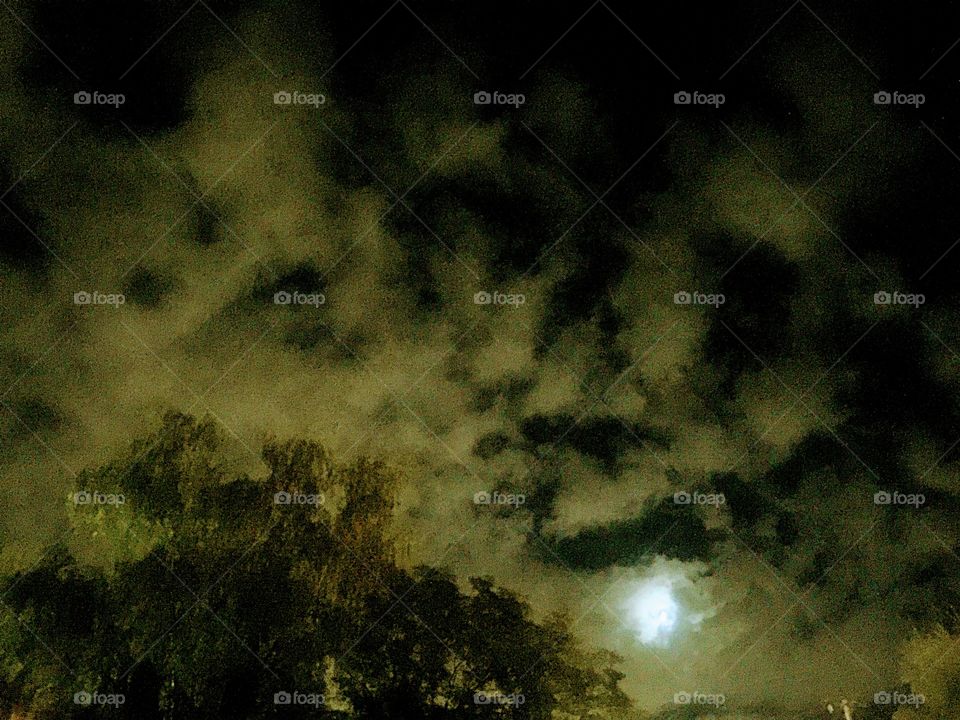 Dark sky with clouds at night and tree top