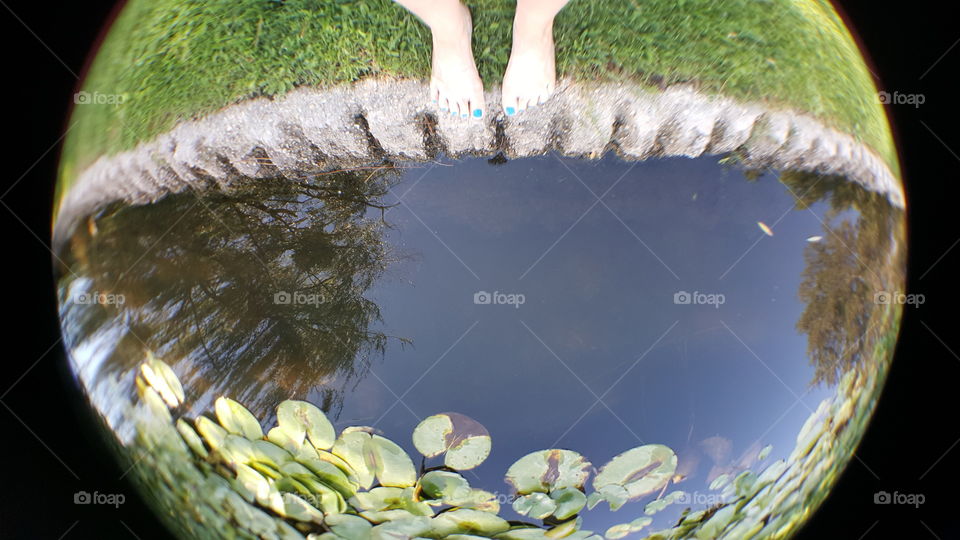 Standing at a lilly pond