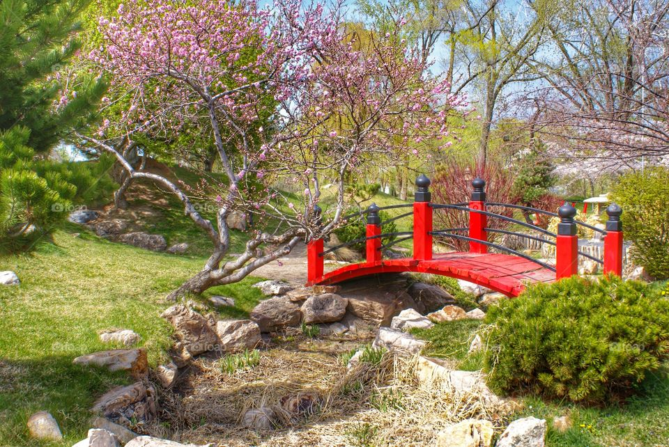 Japanese garden bridge in park