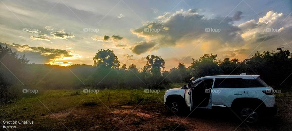 nature's Beauty 😍