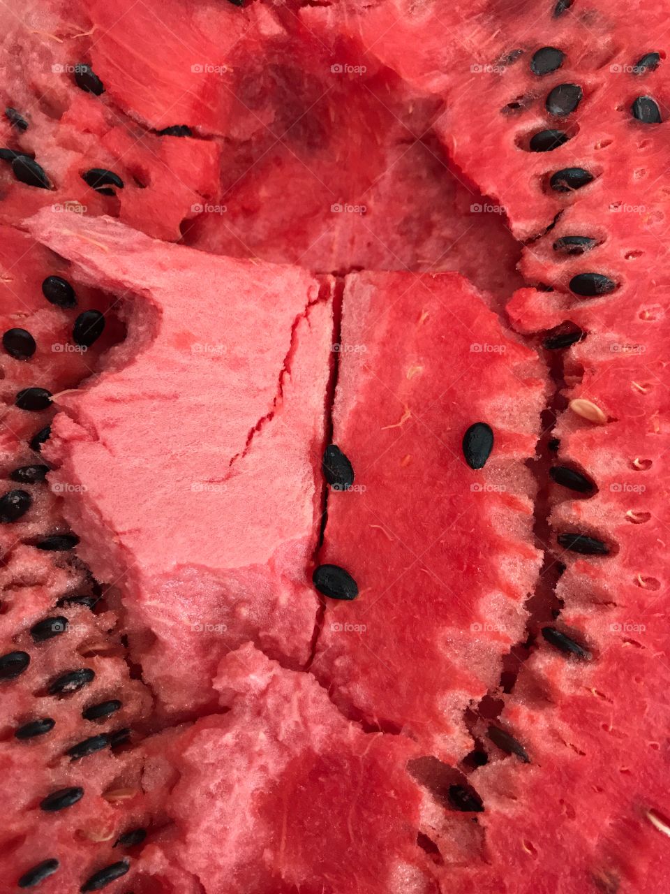 fresh red watermelon