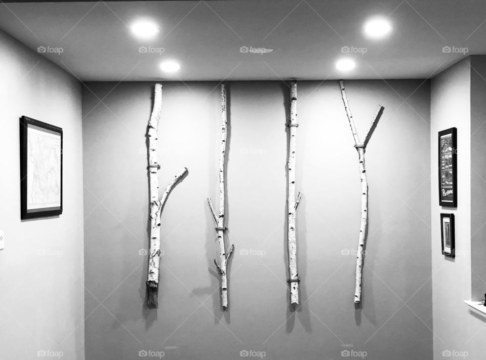 Birch branches in the dining nook